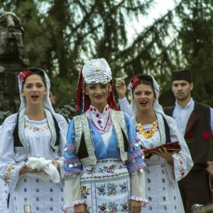 Višnjićevi dani 2013.